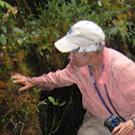 Carol Masheter climbing through jungle roots