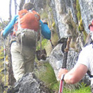 Climbing steep limestone fins